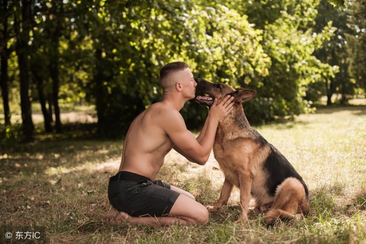 如何选择德国牧羊犬？送你6个小窍门！